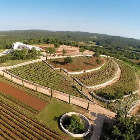 Ulika By Interhome Golaš