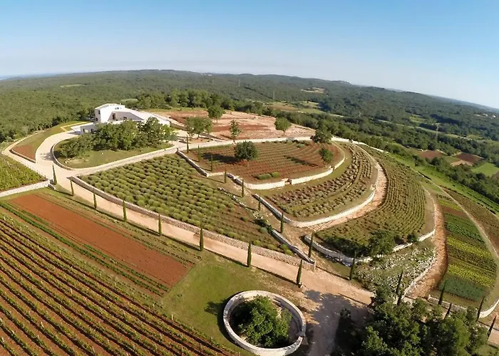 Ulika By Interhome Golaš